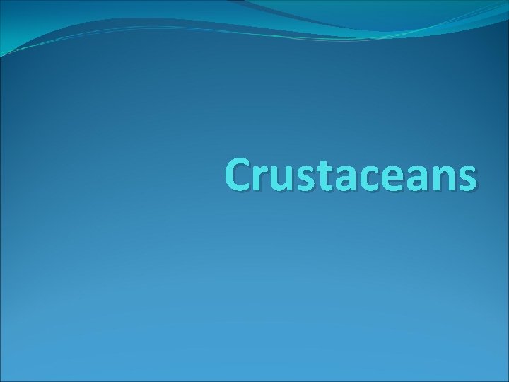 Crustaceans 