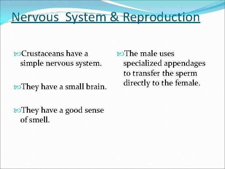 Nervous System & Reproduction Crustaceans have a simple nervous system. They have a small