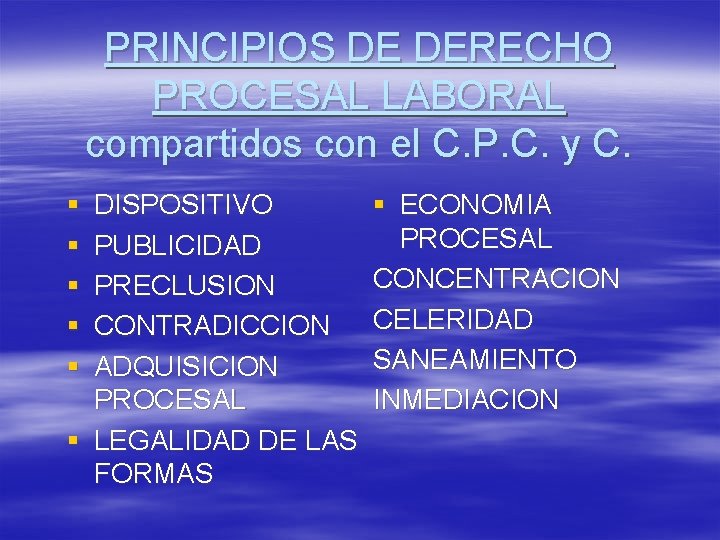 PRINCIPIOS DE DERECHO PROCESAL LABORAL compartidos con el C. P. C. y C. §