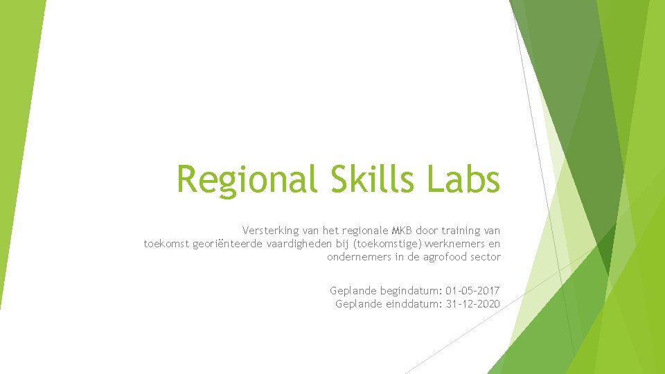 Regional Skills Labs Versterking van het regionale MKB door training van toekomst georiënteerde vaardigheden