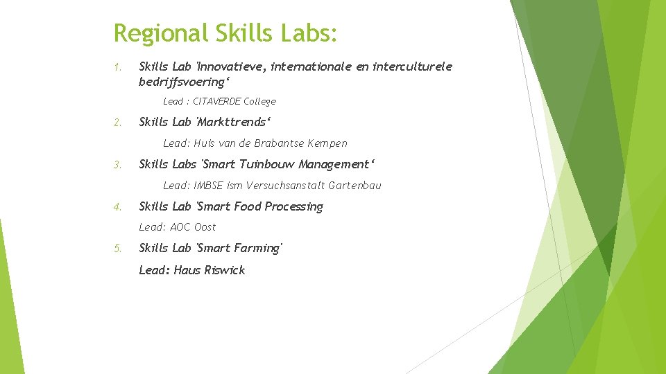 Regional Skills Labs: 1. Skills Lab 'Innovatieve, internationale en interculturele bedrijfsvoering‘ Lead : CITAVERDE