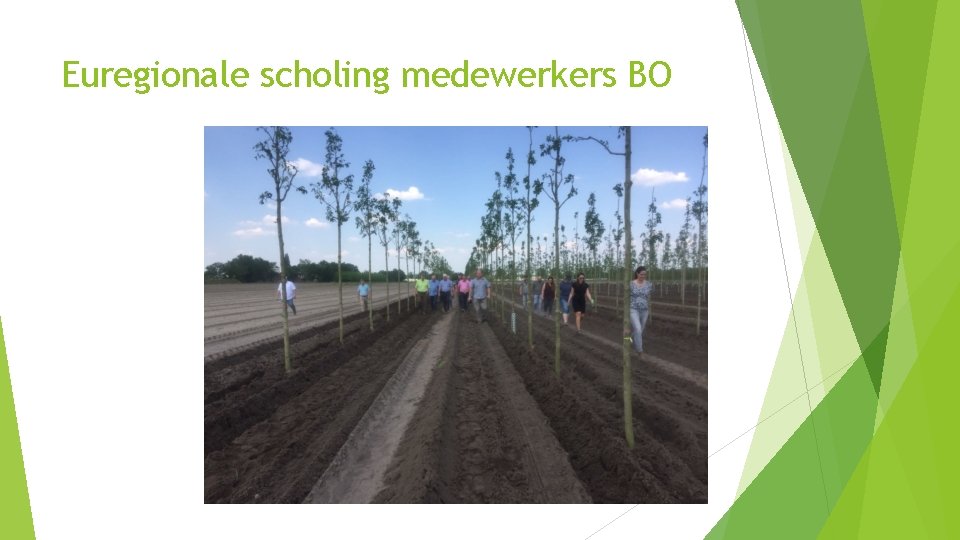 Euregionale scholing medewerkers BO 