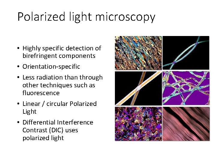 Polarized light microscopy • Highly specific detection of birefringent components • Orientation-specific • Less Polarized light microscopy • Highly specific detection of birefringent components • Orientation-specific • Less