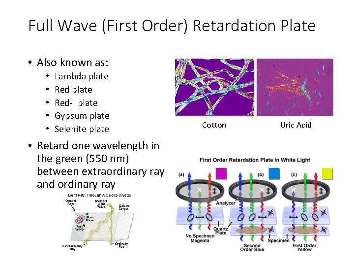 Full Wave (First Order) Retardation Plate • Also known as: • • • Lambda Full Wave (First Order) Retardation Plate • Also known as: • • • Lambda