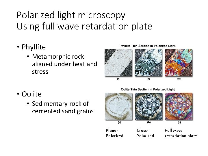 Polarized light microscopy Using full wave retardation plate • Phyllite • Metamorphic rock aligned Polarized light microscopy Using full wave retardation plate • Phyllite • Metamorphic rock aligned