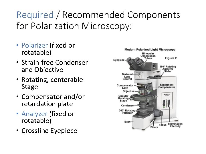 Required / Recommended Components for Polarization Microscopy: • Polarizer (fixed or rotatable) • Strain-free Required / Recommended Components for Polarization Microscopy: • Polarizer (fixed or rotatable) • Strain-free