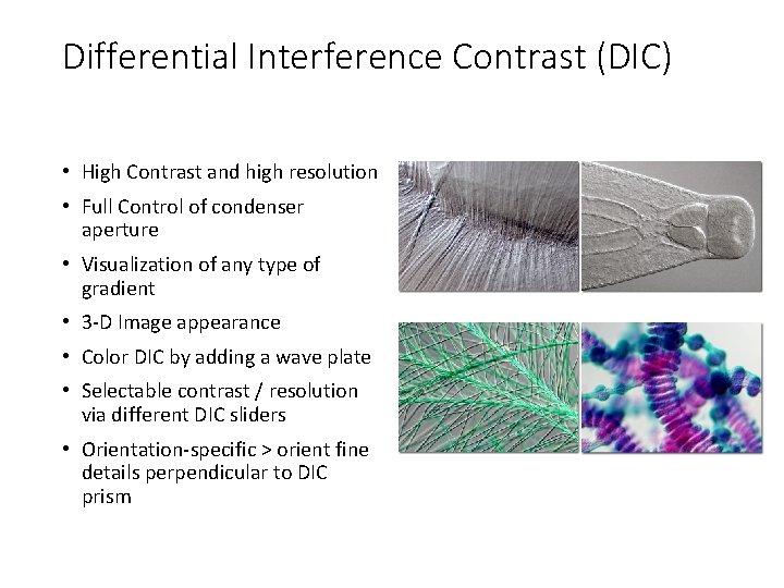Differential Interference Contrast (DIC) • High Contrast and high resolution • Full Control of Differential Interference Contrast (DIC) • High Contrast and high resolution • Full Control of