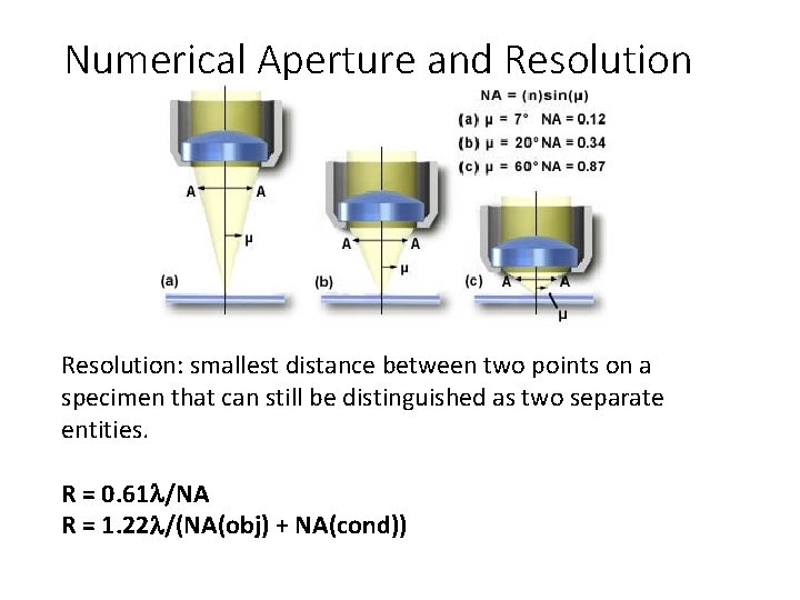 Numerical Aperture and Resolution: smallest distance between two points on a specimen that can Numerical Aperture and Resolution: smallest distance between two points on a specimen that can