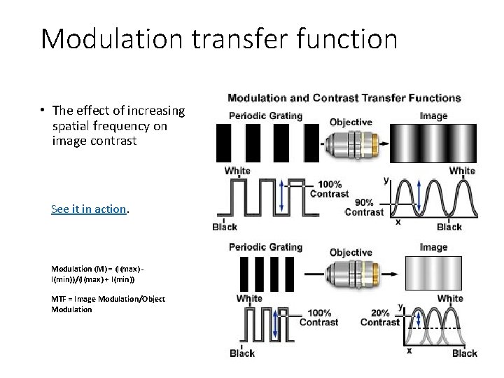 Modulation transfer function • The effect of increasing spatial frequency on image contrast See Modulation transfer function • The effect of increasing spatial frequency on image contrast See