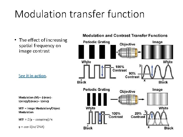 Modulation transfer function • The effect of increasing spatial frequency on image contrast See Modulation transfer function • The effect of increasing spatial frequency on image contrast See