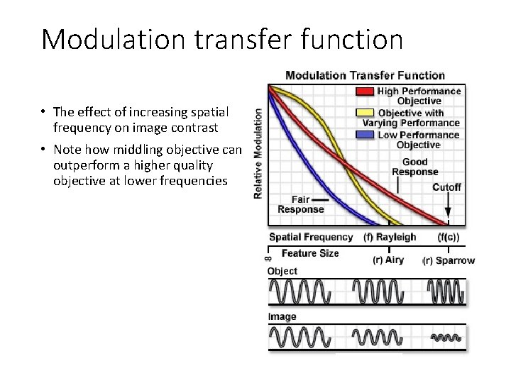 Modulation transfer function • The effect of increasing spatial frequency on image contrast • Modulation transfer function • The effect of increasing spatial frequency on image contrast •