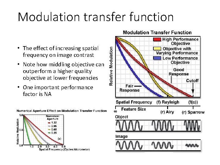 Modulation transfer function • The effect of increasing spatial frequency on image contrast • Modulation transfer function • The effect of increasing spatial frequency on image contrast •