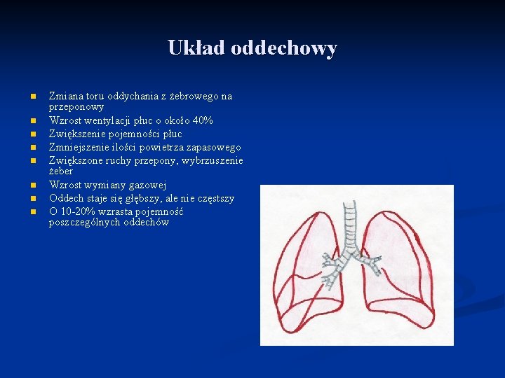 Układ oddechowy n n n n Zmiana toru oddychania z żebrowego na przeponowy Wzrost