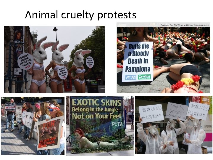 Animal cruelty protests 