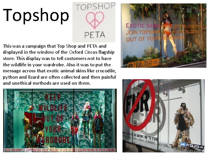 Topshop This was a campaign that Top Shop and PETA and displayed in the