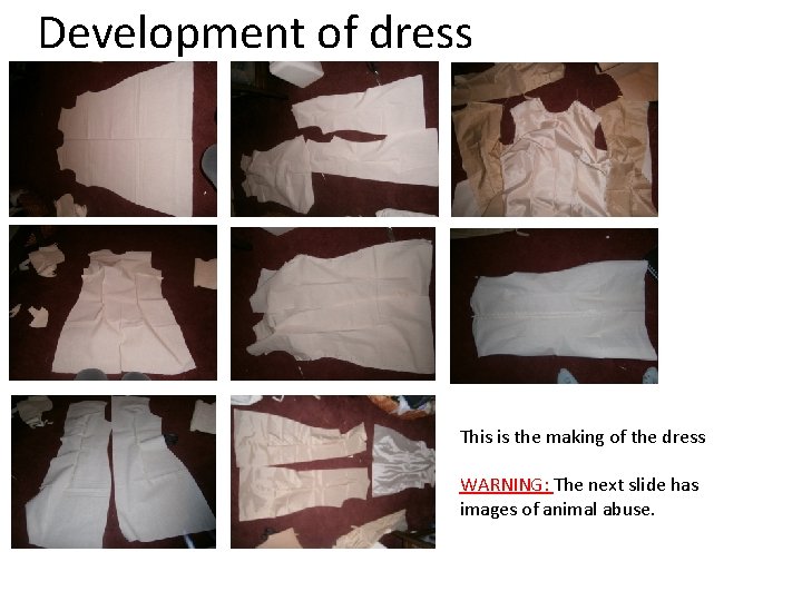 Development of dress This is the making of the dress WARNING: The next slide