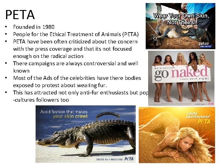 PETA • Founded in 1980 • People for the Ethical Treatment of Animals (PETA)