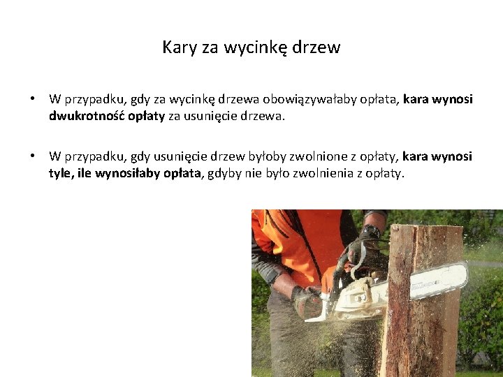 Kary za wycinkę drzew • W przypadku, gdy za wycinkę drzewa obowiązywałaby opłata, kara