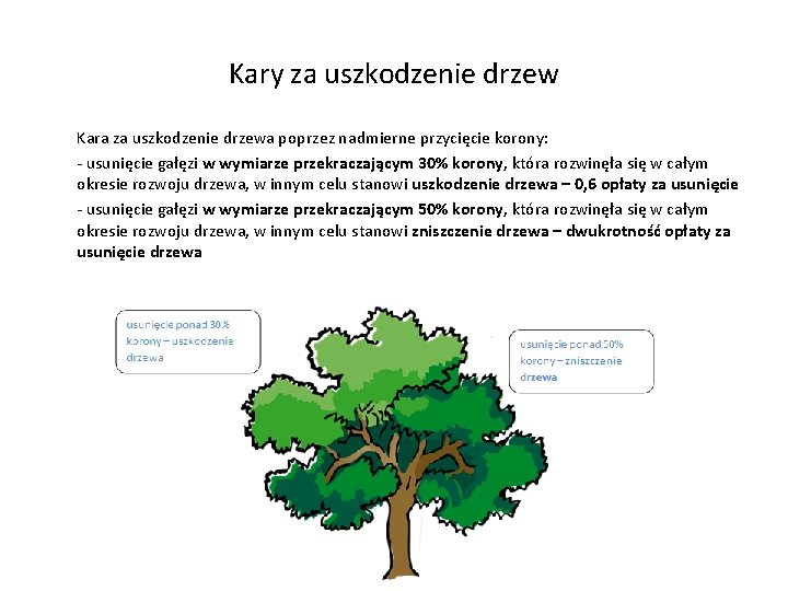 Kary za uszkodzenie drzew Kara za uszkodzenie drzewa poprzez nadmierne przycięcie korony: - usunięcie