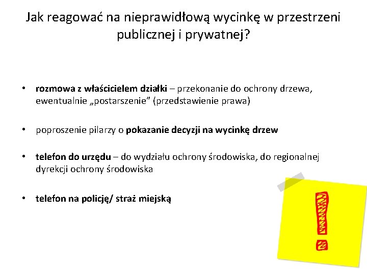 Jak reagować na nieprawidłową wycinkę w przestrzeni publicznej i prywatnej? • rozmowa z właścicielem