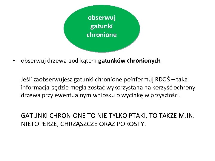 obserwuj gatunki chronione • obserwuj drzewa pod kątem gatunków chronionych Jeśli zaobserwujesz gatunki chronione