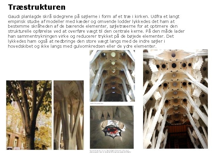 Træstrukturen Gaudi planlagde skrå sidegrene på søjlerne i form af et træ i kirken.