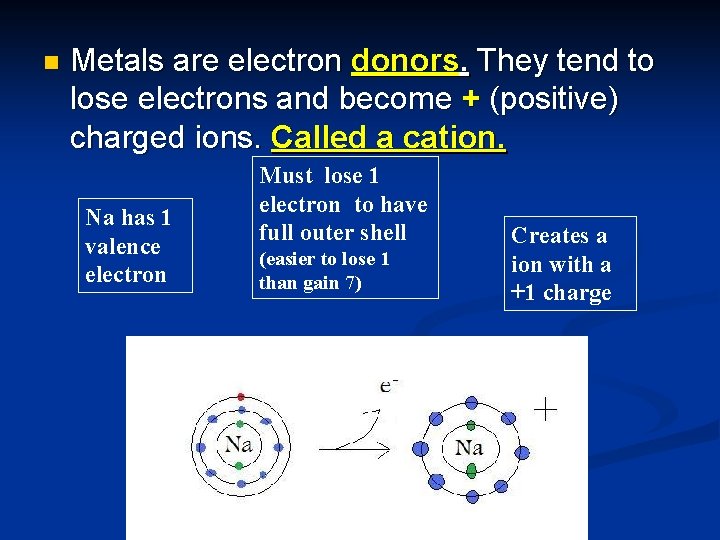 n Metals are electron donors. They tend to lose electrons and become + (positive)