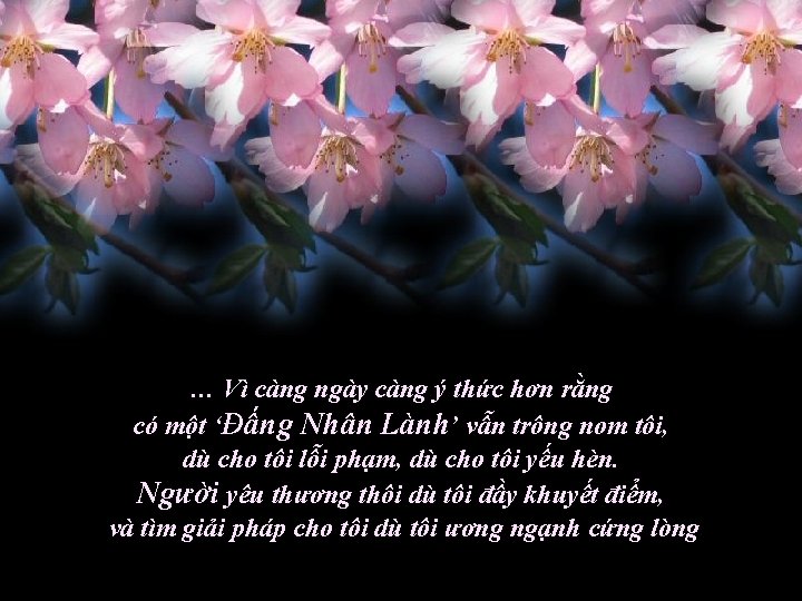 … Vì càng ngày càng ý thức hơn rằng có một ‘Đấng Nhân Lành’
