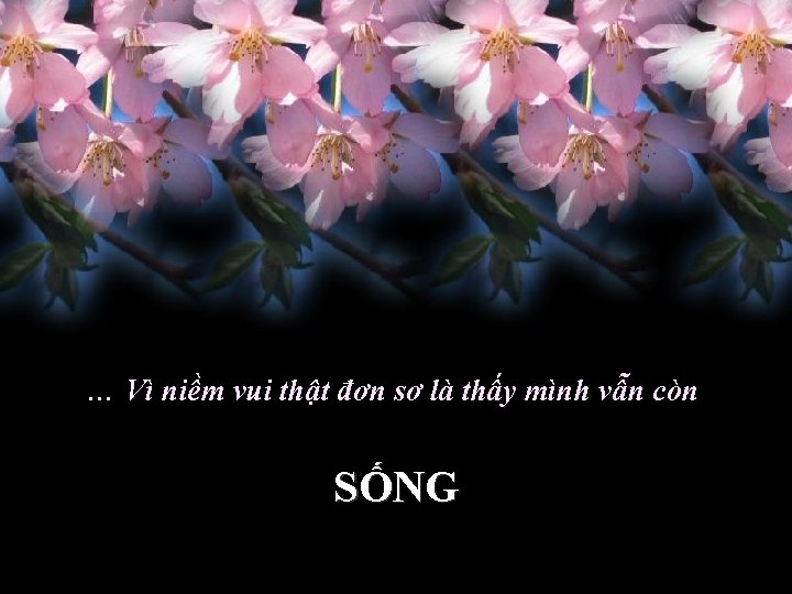 … Vì niềm vui thật đơn sơ là thấy mình vẫn còn SỐNG 