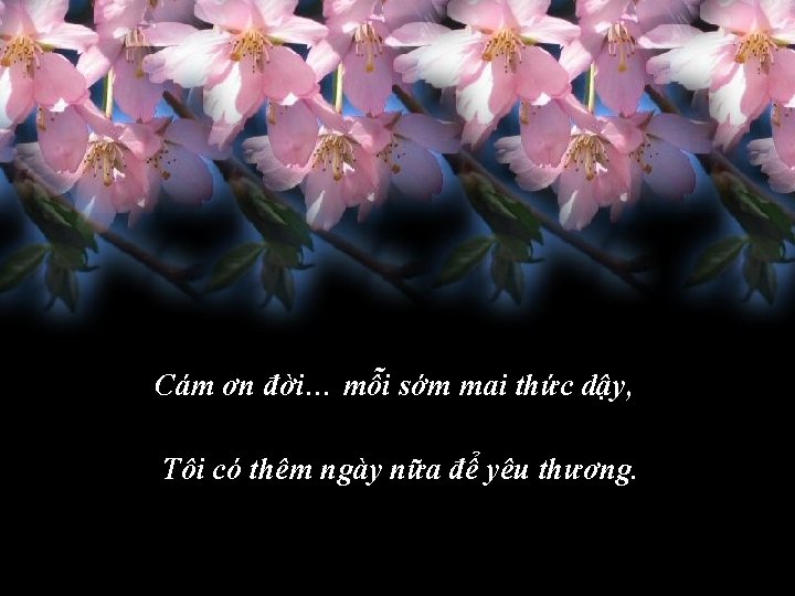 Cám ơn đời… mỗi sớm mai thức dậy, Tôi có thêm ngày nữa để