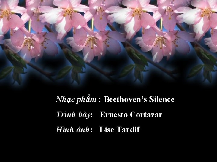 Nhạc phẩm : Beethoven’s Silence Trình bày: Ernesto Cortazar Hình ảnh: Lise Tardif 