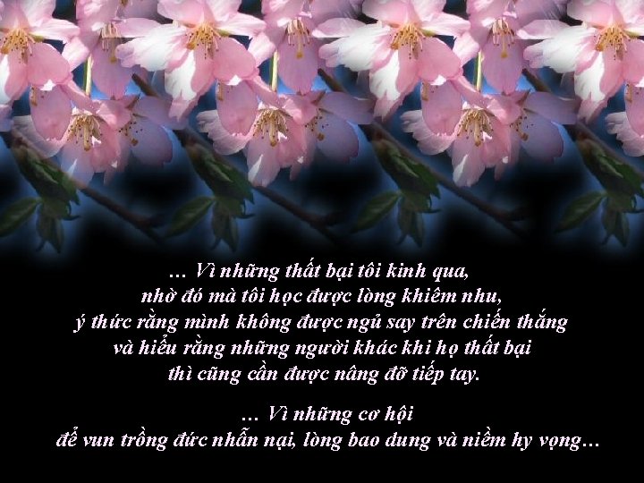 … Vì những thất bại tôi kinh qua, nhờ đó mà tôi học được