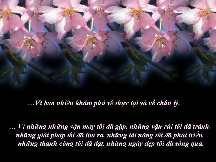 …Vì bao nhiêu khám phá về thực tại và về chân lý. … Vì