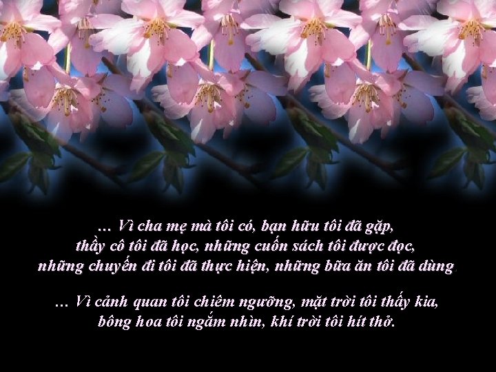 … Vì cha mẹ mà tôi có, bạn hữu tôi đã gặp, thầy cô