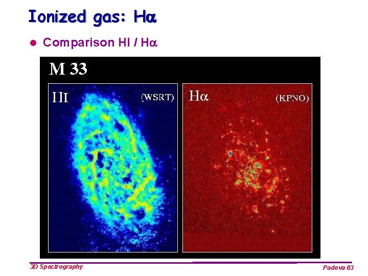 Ionized gas: Ha l Comparison HI / Ha 3 D Spectrography Padova 03 