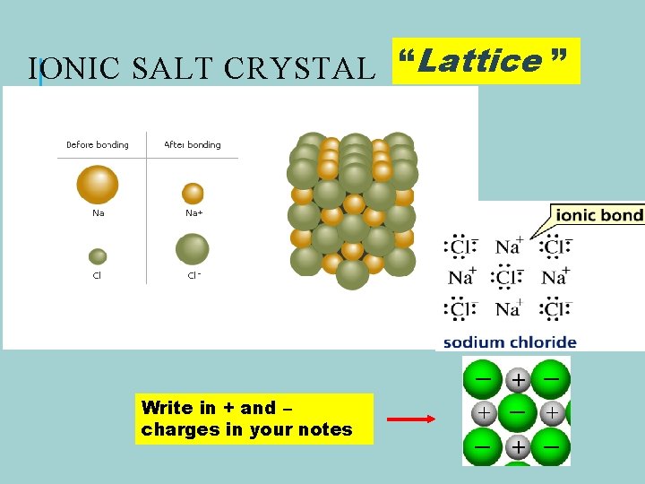 IONIC SALT CRYSTAL “Lattice ” Write in + and – charges in your notes