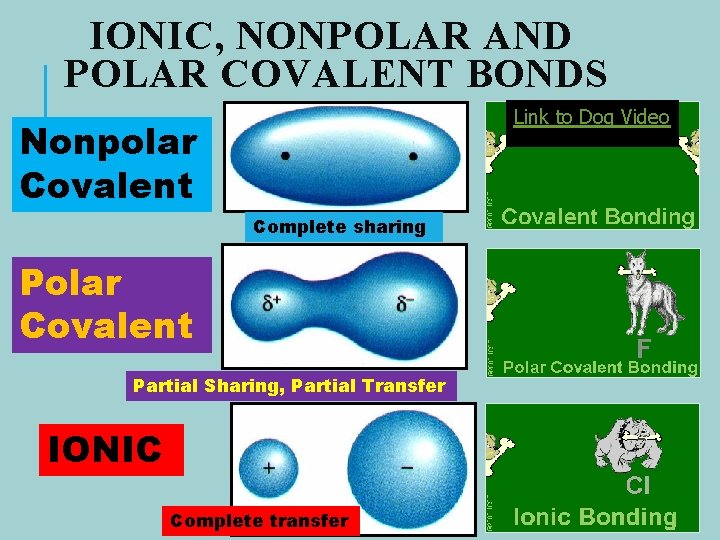 IONIC, NONPOLAR AND POLAR COVALENT BONDS Link to Dog Video Nonpolar Covalent . Complete