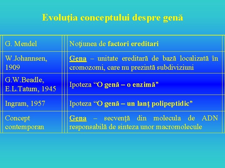 Evoluţia conceptului despre genă G. Mendel Noţiunea de factori ereditari W. Johannsen, 1909 Gena