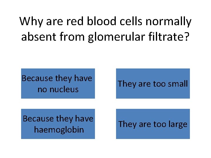 Why are red blood cells normally absent from glomerular filtrate? Because they have no