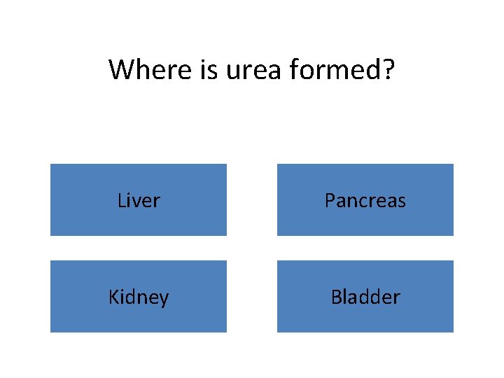 Where is urea formed? Liver Pancreas Kidney Bladder 