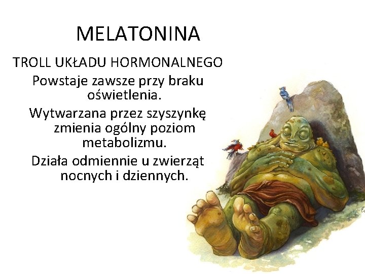 MELATONINA TROLL UKŁADU HORMONALNEGO Powstaje zawsze przy braku oświetlenia. Wytwarzana przez szyszynkę zmienia ogólny