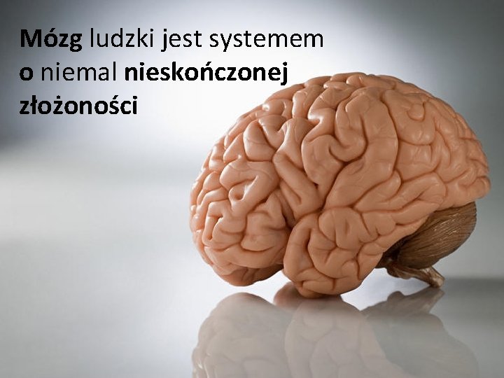 Mózg ludzki jest systemem o niemal nieskończonej złożoności 