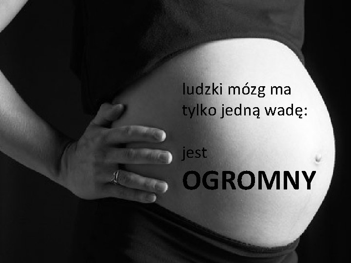 ludzki mózg ma tylko jedną wadę: jest OGROMNY 