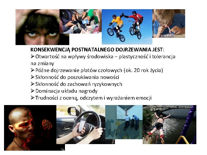 KONSEKWENCJĄ POSTNATALNEGO DOJRZEWANIA JEST: ØOtwartość na wpływy środowiska – plastyczność i tolerancja na zmiany