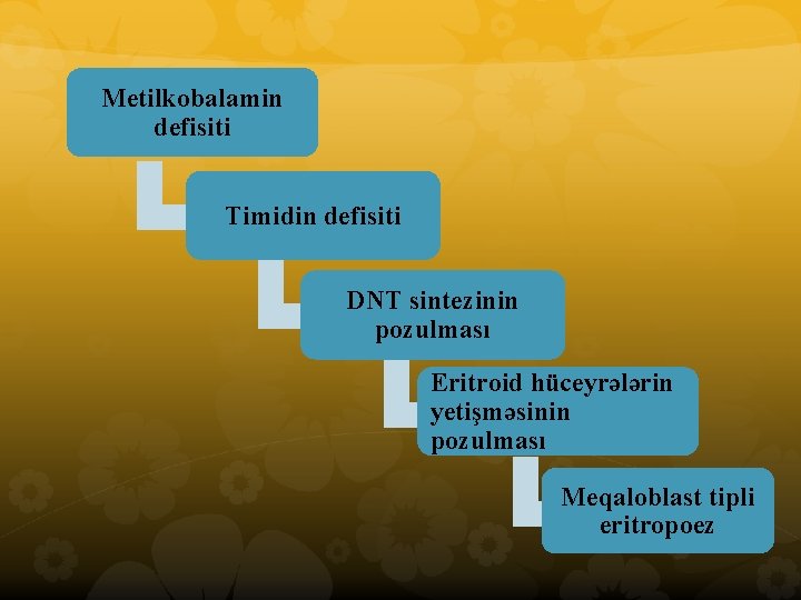 Metilkobalamin defisiti Timidin defisiti DNT sintezinin pozulması Eritroid hüceyrələrin yetişməsinin pozulması Meqaloblast tipli eritropoez