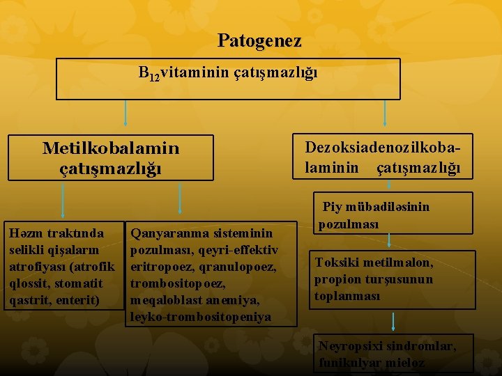 Patogenez B 12 vitaminin çatışmazlığı Metilkobalamin çatışmazlığı Həzm traktında selikli qişaların atrofiyası (atrofik qlossit,