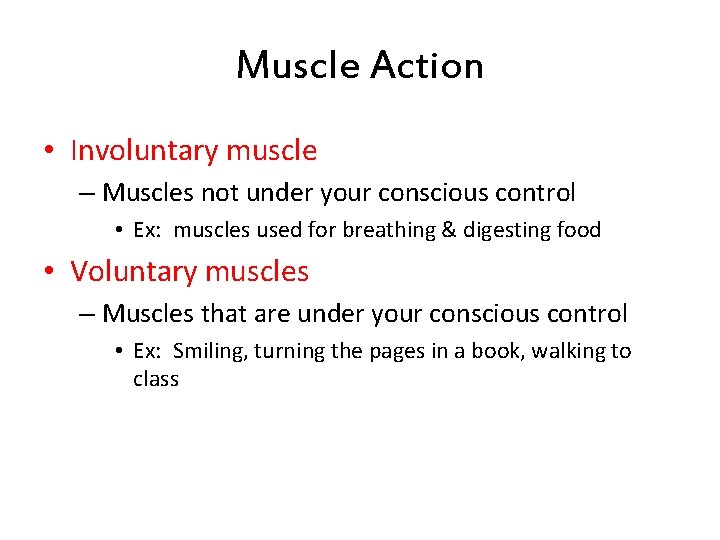 Muscle Action • Involuntary muscle – Muscles not under your conscious control • Ex: