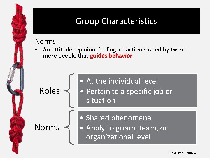 Group Characteristics Norms • An attitude, opinion, feeling, or action shared by two or