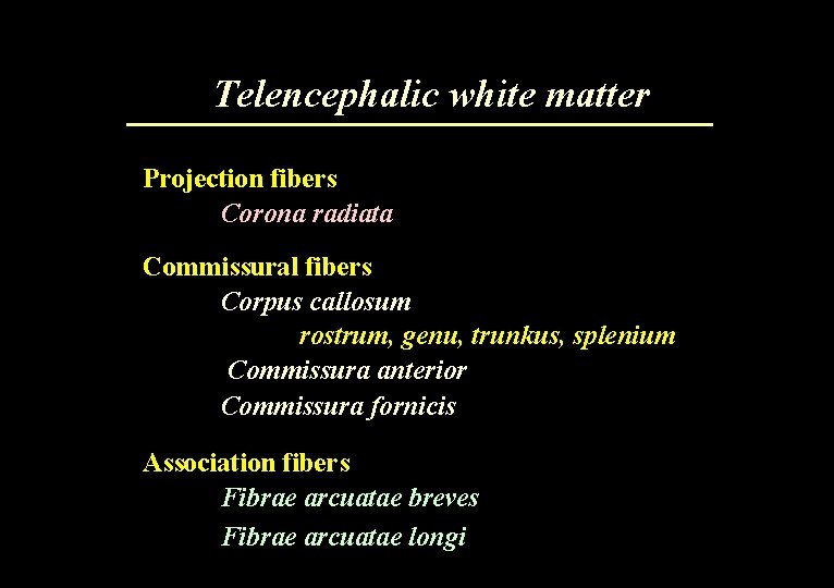 Telencephalic white matter Projection fibers Corona radiata Commissural fibers Corpus callosum rostrum, genu, trunkus,