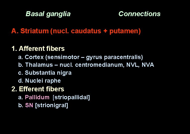 Basal ganglia Connections А. Striatum (nucl. caudatus + putamen) 1. Afferent fibers а. Cortex